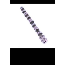 Hyundai H100 D4BB Camshaft